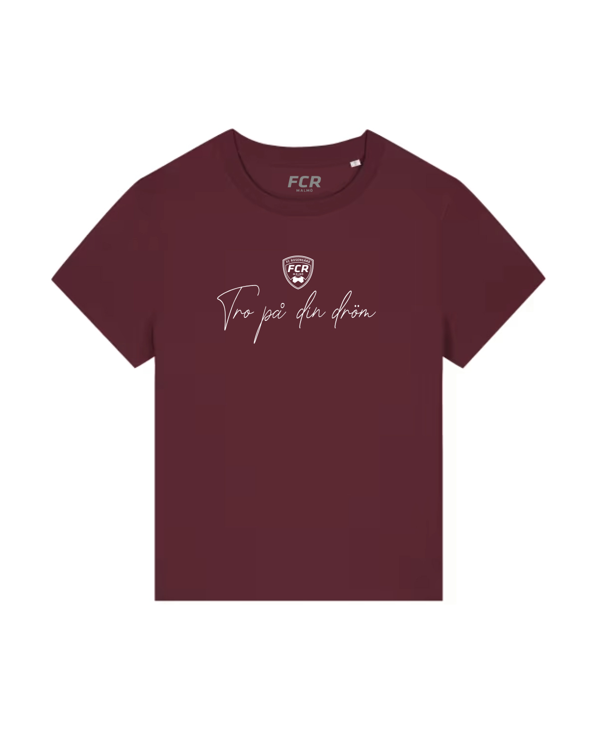 FCR2503011_Dam